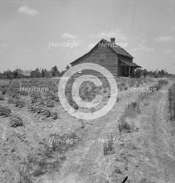 House of cotton sharecropper (white) near Gaffney, South Carolina, 1937. Creator: Dorothea Lange.