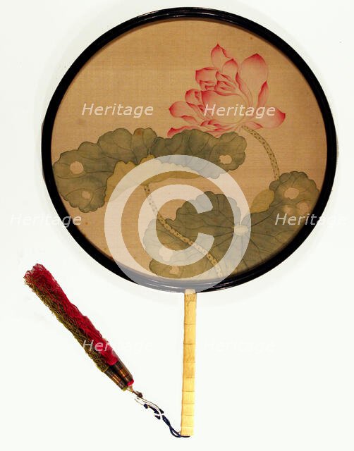 Lotus, Qing dynasty (1644-1911), 19th century. Creator: Unknown.