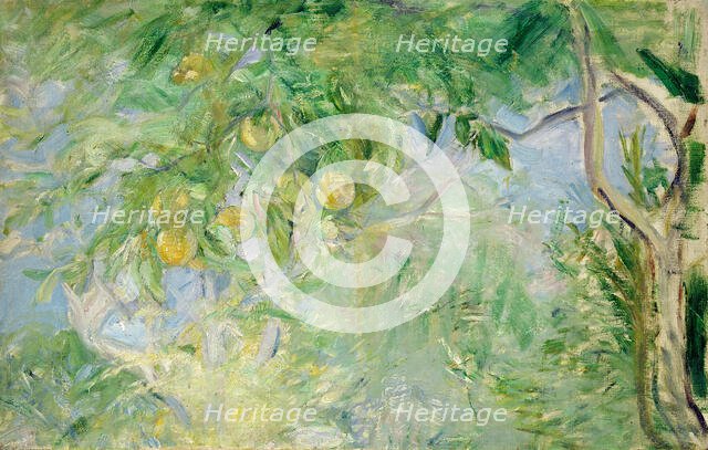 Branches d'oranger, 1889. Creator: Morisot, Berthe (1841-1895).