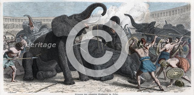 Combat between gladiators and circus elephants, engraving 1862.