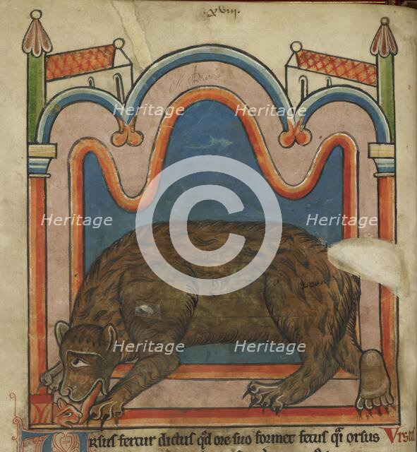 Bear licking a cub into shape, c1230s. Creator: Unknown.