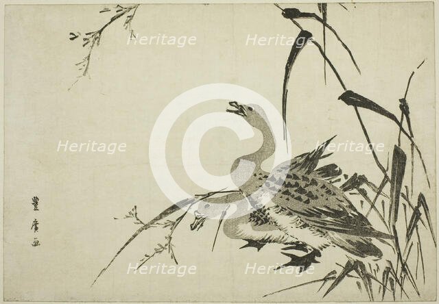 Wild Geese and Reeds, c. 1810. Creator: Utagawa Toyohiro.