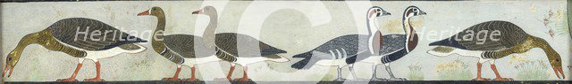 Copy of wall painting from Mastaba of Itet, Medum (IV, 93-94) geese, 20th century. Artist: Anna (Nina) Macpherson Davies.