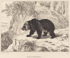 Mississippi Bear, 1836. Creator: Antoine-Louis Barye.