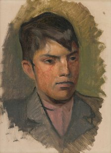 Head Study of a Boy in a Pink Shirt, 1880-1900. Creator: Ladislav Mednyanszky.