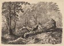 Mouldering Tree Trunk, 1794. Creator: Johann Georg von Dillis.