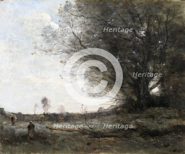 'The beech tree', 1816-1875. Artist: Jean-Baptiste-Camille Corot.