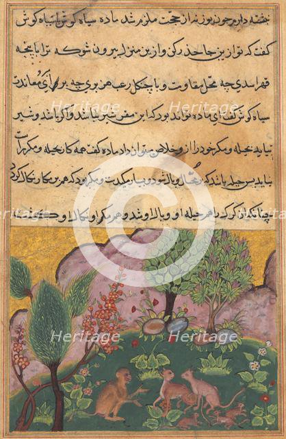 Tuti-Nama (Tales of a Parrot): Tale XXIX, c. 1560. Creator: Unknown.