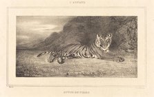 Study of a Tiger. Creator: Antoine-Louis Barye.
