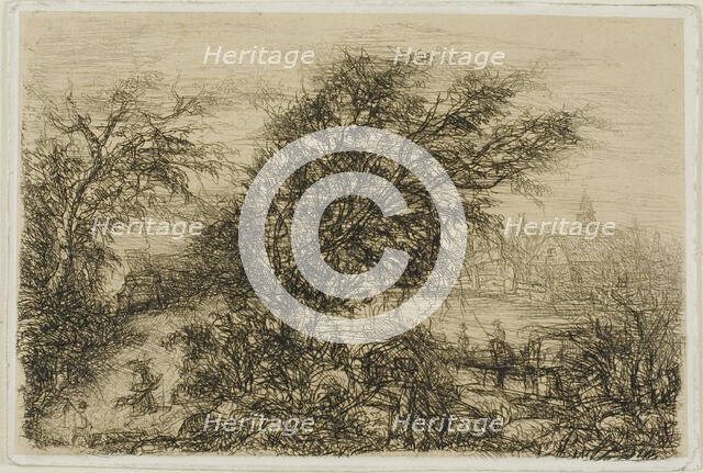 Trees Bending in the Wind, n.d. Creator: Rodolphe Bresdin.