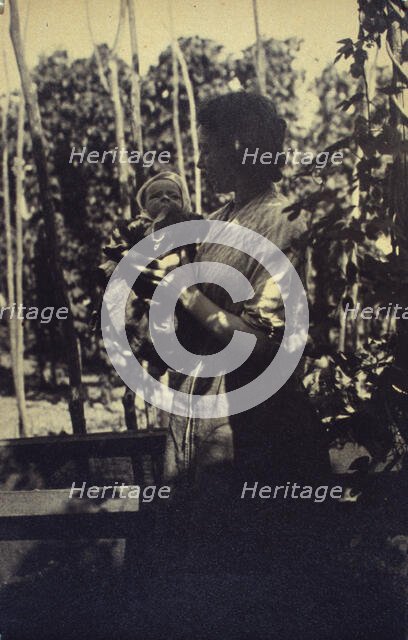 Woman holding an infant outdoors, between 1920 and 1940. Creator: Unknown.
