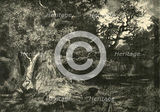 'An Old German Forest', 1890.   Creator: Unknown.