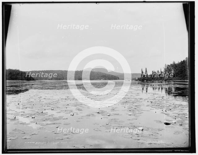 Saranac River and Round Lake, Adirondack Mountains, c1902. Creator: William H. Jackson.