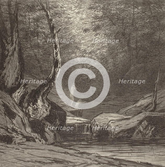 Crooked Tree, c1920s. Creator: Bolton Coit Brown.