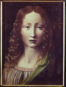  'Head' work by Leonardo da Vinci.