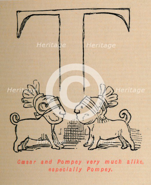 'Caesar and Pompey very much alike especially Pompey', 1852. Artist: John Leech.