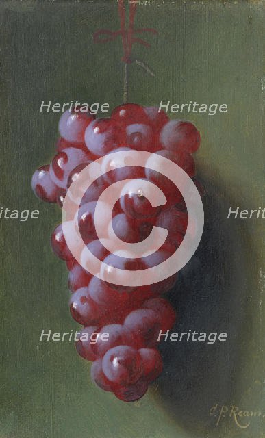 Still Life with Grapes. Creator: Carducius Plantagenet Ream.