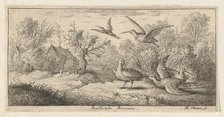 Rusticula, Beccasse (The Woodcock): Livre d'Oyseaux (Book of Birds), 1655-1660. Creator: albert flamen.