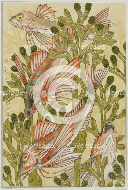 The red mullets, 1897. Creator: Verneuil, Maurice Pillard (1869-1942).