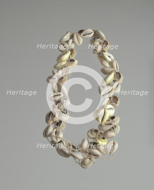 String of cowrie shells, 1800 - 1968. Creator: Unknown.