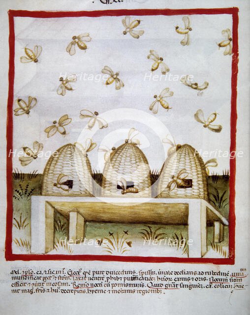 Honey, 14th century.  Creator: Unknown.