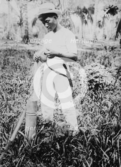 Placing buntal straw in vinegar, between c1915 and c1920. Creator: Bain News Service.