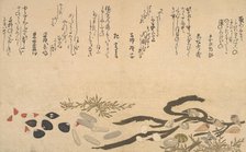 Shells under Water, 1790. Creator: Kitagawa Utamaro.