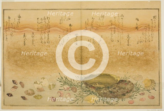 Chidori-gai, itaya-gai, awabi, utsuse-gai, asari-gai, and monoara-gai, from the illustrated...,1789. Creator: Kitagawa Utamaro.