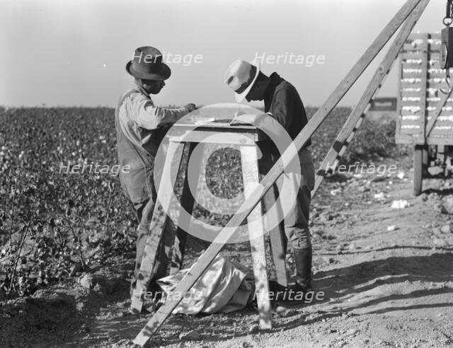 Cotton checkers, San Joaquin Valley, California, 1936. Creator: Dorothea Lange.