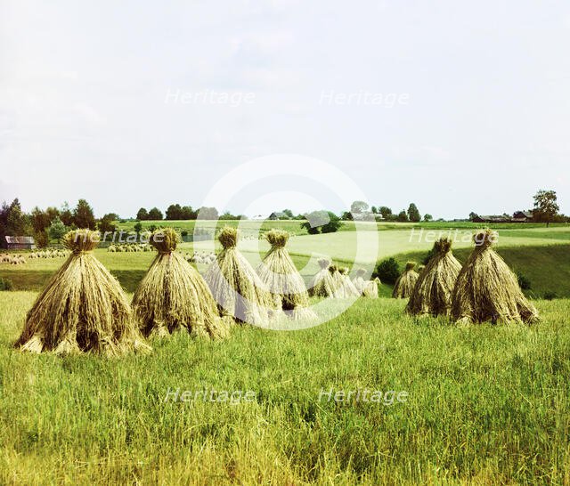 Harvested field, 1912. Creator: Sergey Mikhaylovich Prokudin-Gorsky.