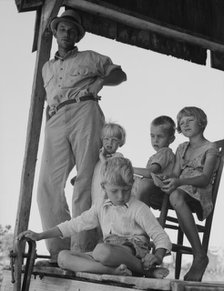Cotton sharecropper family near Cleveland, Mississippi, 1937. Creator: Dorothea Lange.