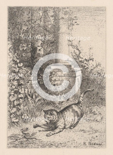 A Domestic Cat Playing with a Garter Snake, ca. 1860. Creator: Karl Bodmer.