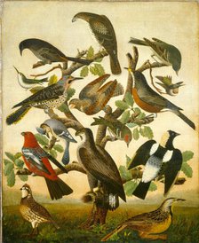 Birds, c. 1840. Creator: Unknown.