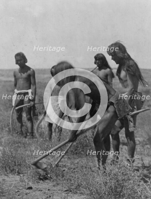 Digging out the snakes-Hopi, c1907. Creator: Edward Sheriff Curtis.