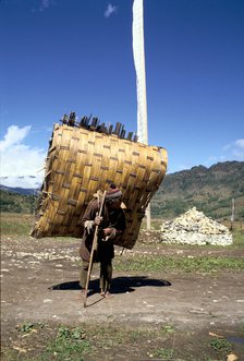Man carrying a huge load, Bumthang, Bhutan.