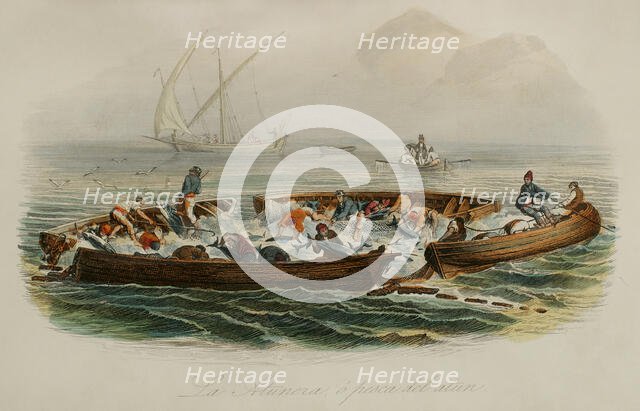 Tuna fishing, 1856. Creator: Edouard Travies.