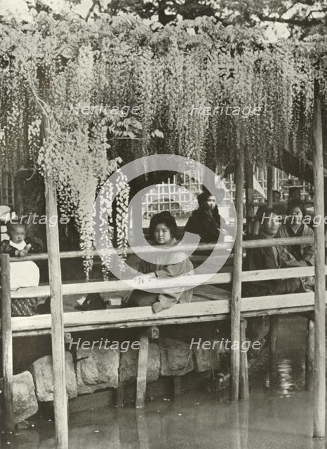 'A Wisteria Arbour at Kameido', 1910. Creator: Herbert Ponting.