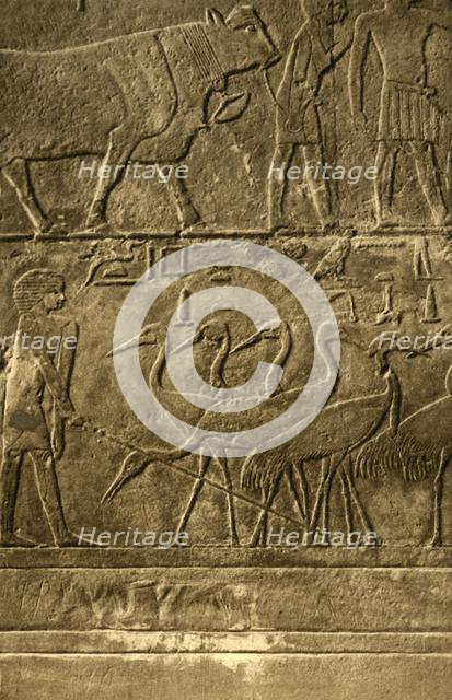 'Saqqara - Tomb of Ti Mural Paintings', c1918-c1939. Creator: Unknown.