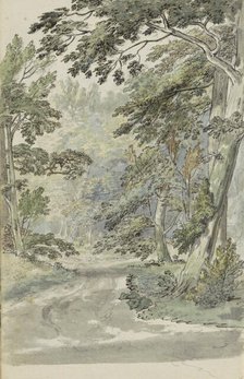 Forest path, 1783. Creator: Johannes Huibert Prins.