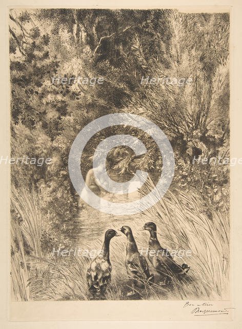 Canards surpris, 1882. Creator: Felix Bracquemond.
