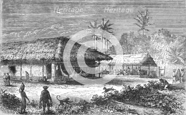 'Farm in Brazil; Rio De Janeiro and the Organ Mountains', 1875. Creator: Thomas Woodbine Hinchliff.