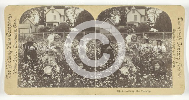 Among the Daisies, 1897. Creator: T.D. Rust.