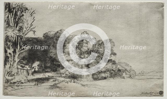 Clump of Trees with a Vista, 1652. Creator: Rembrandt van Rijn (Dutch, 1606-1669).