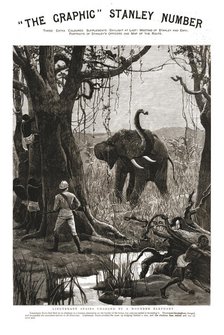 'The Graphic' Stanley Number; Lieutenant Stairs Charged by a Wounded Elephant', 1890. Creator: Unknown.