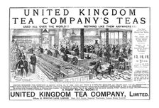 ''United Kingdom Tea Company's Teas; One of the Tasting Room's',1890. Creator: Unknown.