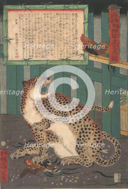 Never Seen Before: True Picture of a Live Wild Tiger..., sixth month 1860. Creator: Kawanabe Kyosai.