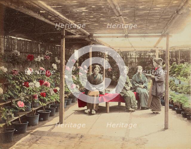 Flower Show, 1870s-1890s. Creator: Kusakabe Kimbei.