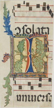 Decorated Initial "I" with Acorns and Leaves from a Choir Book, n.d., probably a modern copy. Creator: Unknown.