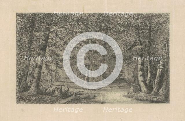 Beech Forest, 1870s-1880s. Creator: Carl C. Brenner.