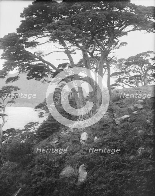 Travel views of Japan and Korea, 1908. Creator: Arnold Genthe.